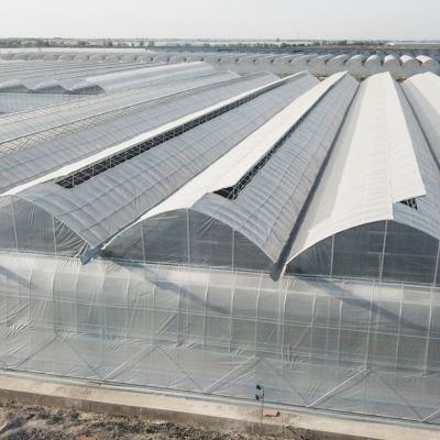 China High Efficient Agricultural Vegetable Flower Fruit Herb Commercial Greenhouse For Sale for sale