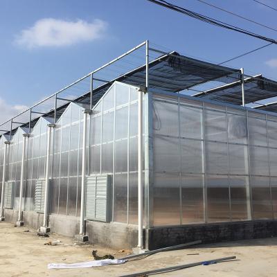 China Hot Galvanized Steel Pipe Polycarbonate PC Sheet Garden Greenhouse for sale