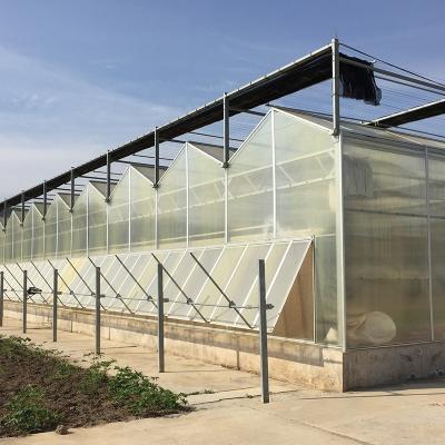 China Modern Appearance Polycarbonate Green House Large PC Agricultural Greenhouse Price for sale