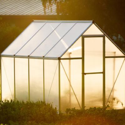 China Easily Assembled New Design Mini Garden Greenhouse With Film For Sale for sale