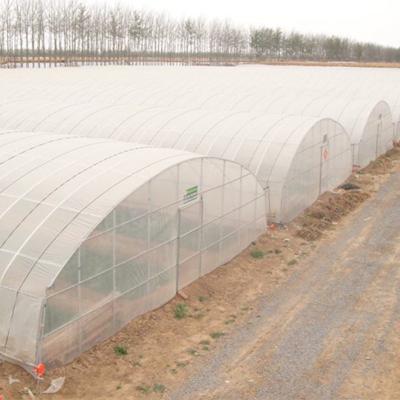 China Vegetables Flowers Fruits LITAI Mini Greenhouse Garden Greenhouse Easily Installed Multi-span Commercial Plastic Sheet Greenhouse for sale