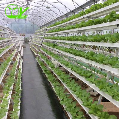 China Durable And Easy To Install 2018 Hot Sale Vertical Planting Hydroponic Growing System for sale