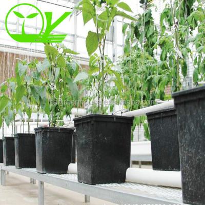 China Wholesale Stable Structure Dutch Bucket For Hydroponic Greenhouse for sale