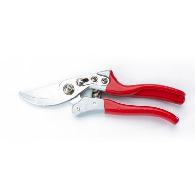 China Anti-skid Handle Cheap Price Professional Apple Bonsai Tree Grape Shears Gardening Shears for sale