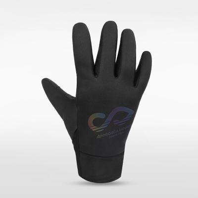 China Breathable Good Quality Gym Outdoor Sports Quick Dry Velvet Touch Screen Cold Warm Training Football Gloves for sale