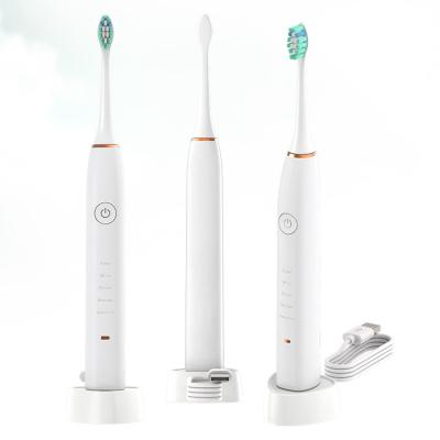 China 2 Minute Timer With Personalized Usb Waterproof Sonic Electric Toothbrush Rechargeable Smart Electronic Ultrasonic China Private Label Travel Lock Adult for sale