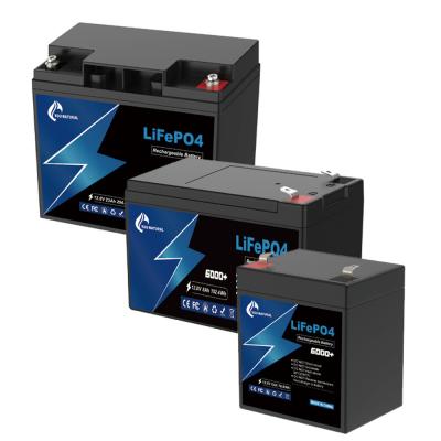 China Golfkar 12V LiFePo4-batterij Lithium-ion-ijzerfosfaatbatterij 6ah 8ah 23ah 295Wh Te koop