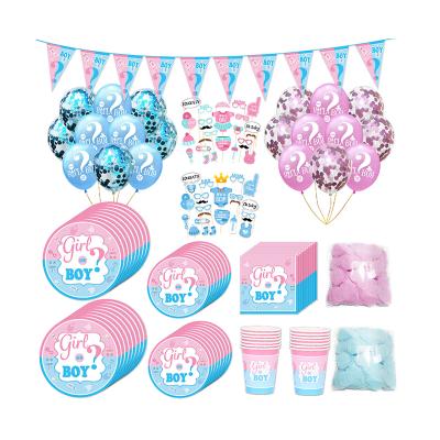 China Baby Shower Kiaye 16 Guests Baby Shower Gender Reveal Boy or Girl Party Decoration Tableware Supplies for sale