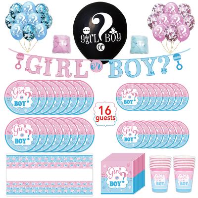 China Baby Shower Kiaye 16 Guests Baby Shower Gender Reveal Boy or Girl Party Decoration Tableware Supplies for sale