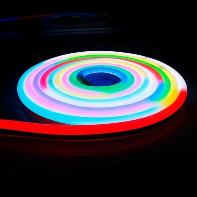 China LANDSCAPE Good Quality 12V 24V Full Color Led Pixel Digital Pixel Neon Accessible Strip SMD 5050 RGB Flex Rope Light for sale