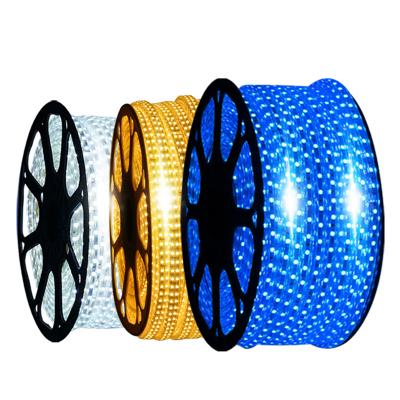 China Decoration Lighting AC220V 110V Waterproof 60leds/m SMD 5050 Colorful Smart Rope Light RGBW Led Strip Lights for sale