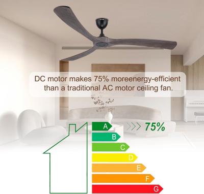 China Quiet Energy Saving 6 Speed Smart Ceiling Fan with Light Controlled by Alexa for sale