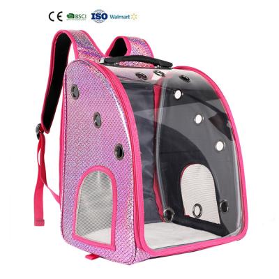 China Breathable Large Space Pet Capsule Push Bag Transparent Backpack With Wheels for sale