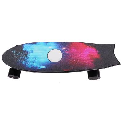 China Youth Online Shop Affordable Auto Outdoor Sport Power Battery Cruiser Battery Street Cruiser Electric Skateboard for sale