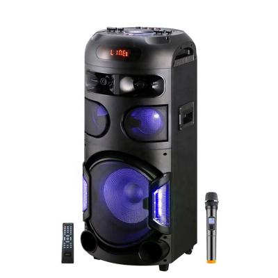 China Karaoke 12inch Dual Party Wireless PA Speaker Portable Speaker With Light for sale