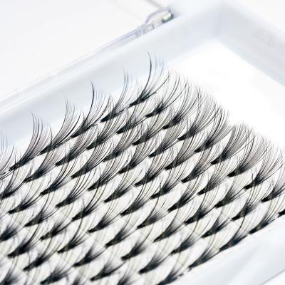 China Natural 6D Heat Bonded Short Wicks Premade Volume Fans Pointed Bases 0.05 0.07 C D Curl Eyelash Extensions for sale