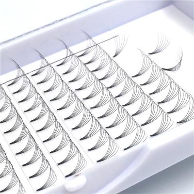 China Natural Eyelash Extension Cilios 3D 4D 5D 6D Pre-fanned Wimpern Eyelashes Las Extension Ensures Volume Lash 0.07 D C Loop Extensions for sale