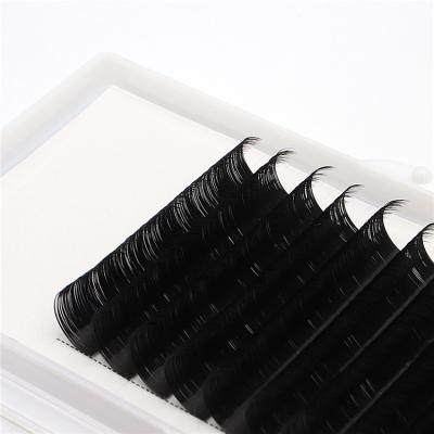 China Long Good Price Natural New Product 2020 0.07 Thickness 16mm Eyelash Extensions for sale