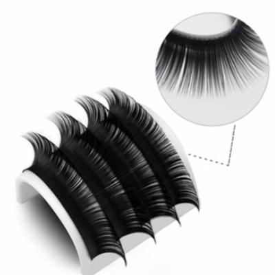 China Natural Lash C cc D Double Density Curl Long Wick Natural Classic Manufacturer Supply Whips For Individual Christmas Day Silk Eyelash Extension for sale