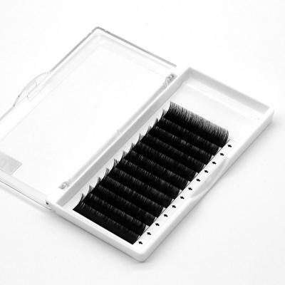 China Volume Premium Full Extension Matte Black Dark Mink Easy Fan Eyelash for sale