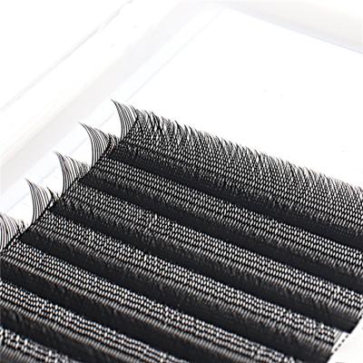 China Professional Natural Wholesale Long All Size Easy Fan Made 9mm False Blooming Eyelash Extension for sale