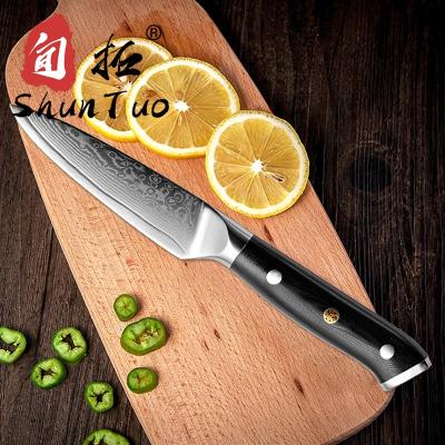 China Viable Full Flavor Professional Japanese Handle 3.5 Inch Damascus Steel Kitchen Paring Knife With Rivet for sale