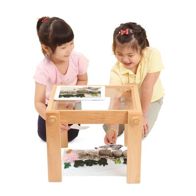 China Diy Educational Kits Cinema Light And Optics Eco - Friendly Material Wooden Science Rod Science Toys for sale