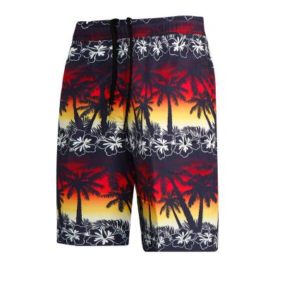 China Plus Size Elastic Waist Summer New Mens Beach Pants Quick Dry Coconut Tree Loose Five Point Casual Shorts for sale