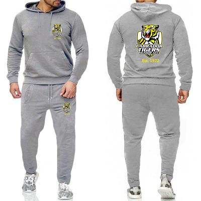 China Autumn Viable Men's Spring Casual Suit Sports Casual Hoodie Slim Fit Sweatsuit Hoodie Pants for sale