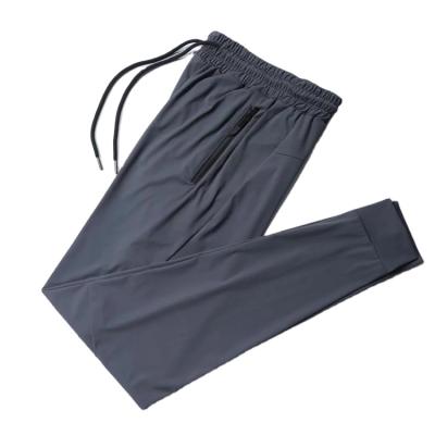 China New Breathable Fitness Sports Pants Mens Nylon Ice Small Foot Legged Running Training Pants for sale