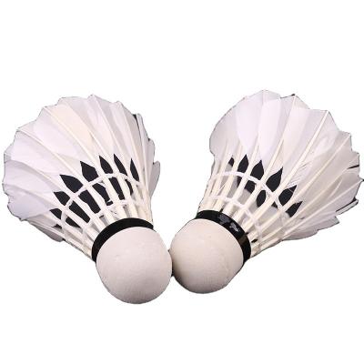 China Professional Tournament Manufacturer Cheap China Professional Tournament Products Set Badminton for sale