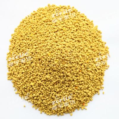 China Bulk Competitive Price Pure Natural Bee Pollen Rape Pollen Powder Supply for sale