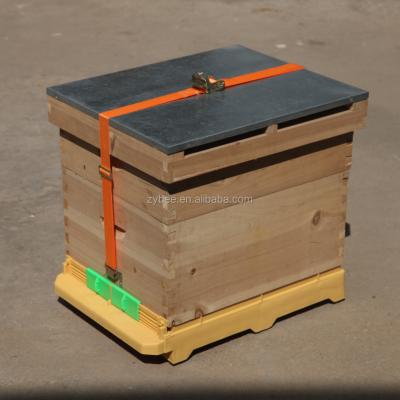 China Zorue hive with hive bottom and plastic hive belt for beekeeper ZY-BH001 for sale