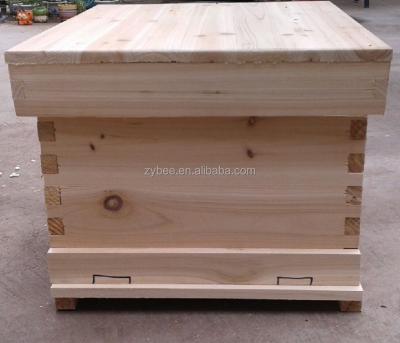 China chinese zorue wood pine and fir seats langstroth beehive ZY-BH001 for sale