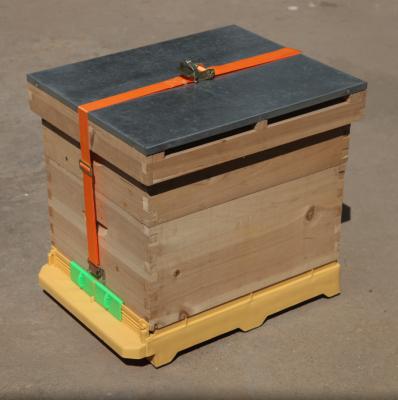 China Farms hive with hive bottom and plastic hive belt for beekeeper for sale