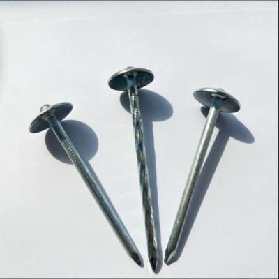 China Professional Manufacturer 90mm Flat Screw Umbrella Head Covering Rubber Nails for sale