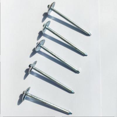 China BRAD Galvanized Umbrella Head Roofing Nails Smooth Leg for sale