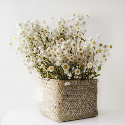 Cina 2020 Hot christmas mini dried flowers gifts dried flowers decoration mini dried flower in vendita