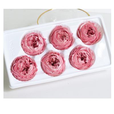 Cina Preserved rose david austin wholesale preserved rose ostin preserved rose heads ostin in vendita