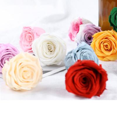 China wholesale price 6 heads rose preserved dusty pink rose competitive price preserved rose arrangement zu verkaufen