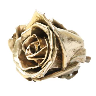 China Wholesale Rose gold preserved real preserved roses metallic Wholesale gold roses preserved en venta