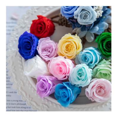 Chine Long lasting Mini everlasting eternal forever rose flower small preserved rose grgsde a 2-3cm à vendre