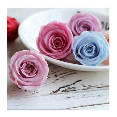 Chine Wholesale preserved roses 3-4 cm antique red Beautiful long life rose preserved roses wholesale preserved rose head 3-4 cm à vendre