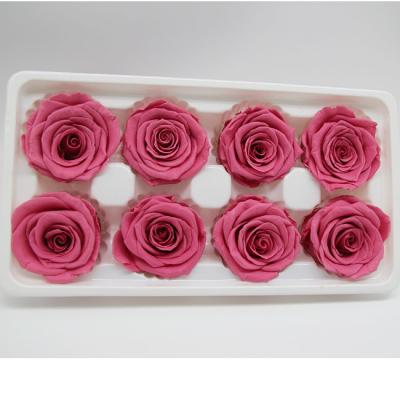 Chine Grade a preserved rose 4-5cm pink preserved roses wholesale preserved roses multicolor à vendre