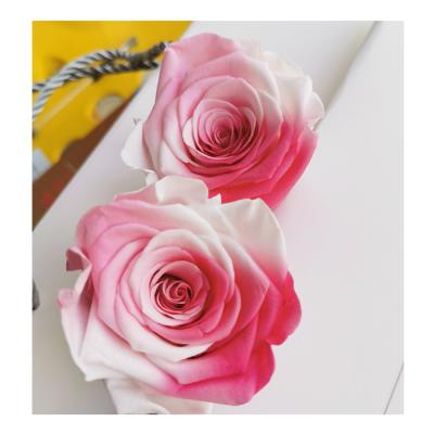 China Yunnan flowers rose preserved whosale preserved roses preserved rose two tone en venta