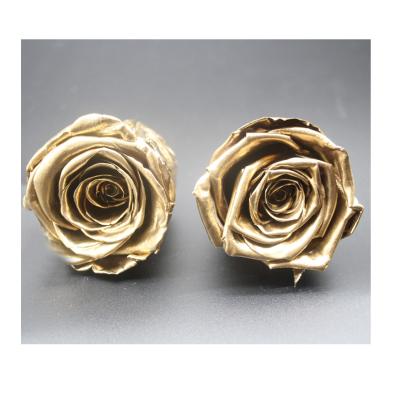 Cina 2020 new rose gold preserved rose custom preserved rose metallic preserved roses in vendita