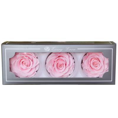 China Beautiful preserved real flowers eternal roses rose eternal 8 cm eternal rose head for wedding for sale