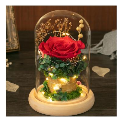 China eternal rose crystal glass single stem eternity rose eternal preserved rose in glass dome light Te koop