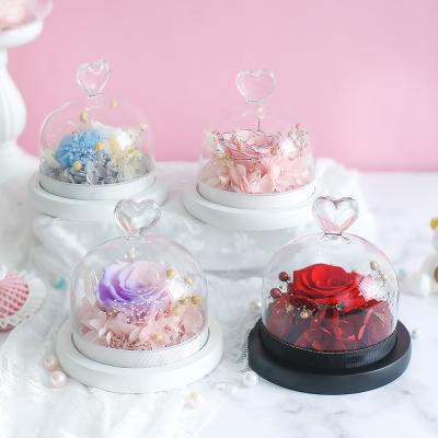 China Preserved rose pastel rainbow live preserved roses preserved rose in small glass dome Te koop