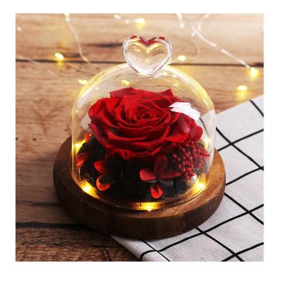 China Roses preserved long lasting natural flower rose preserved flower rose in a glass with lights en venta